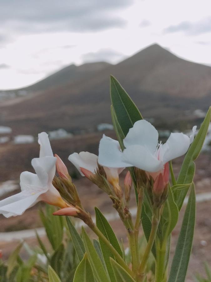 La Morreta Suites II - Lanzarote Tías Kültér fotó